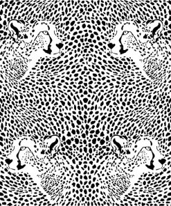 Cheetah Skins and Heads